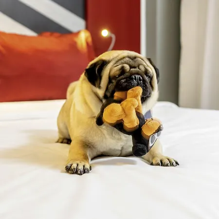 Ibis Centre Ξενοδοχείο 3*