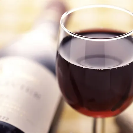 Ξενοδοχείο Ibis Centre Ιέρ