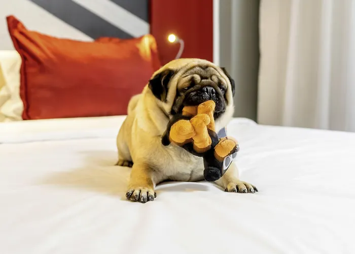 Ibis Centre מלון 3*